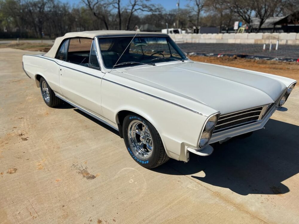 Can Vinyl Wraps Transform Your Aging Vehicle? From Drab to Fab with Professional Installation