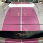 pink rally stripe