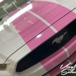 10" rally stripe pink