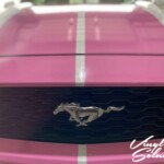 pink rally stripe mustang
